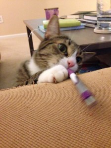 An accurate depiction of my crazy cat.