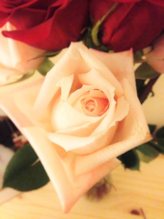 just some beauty for you